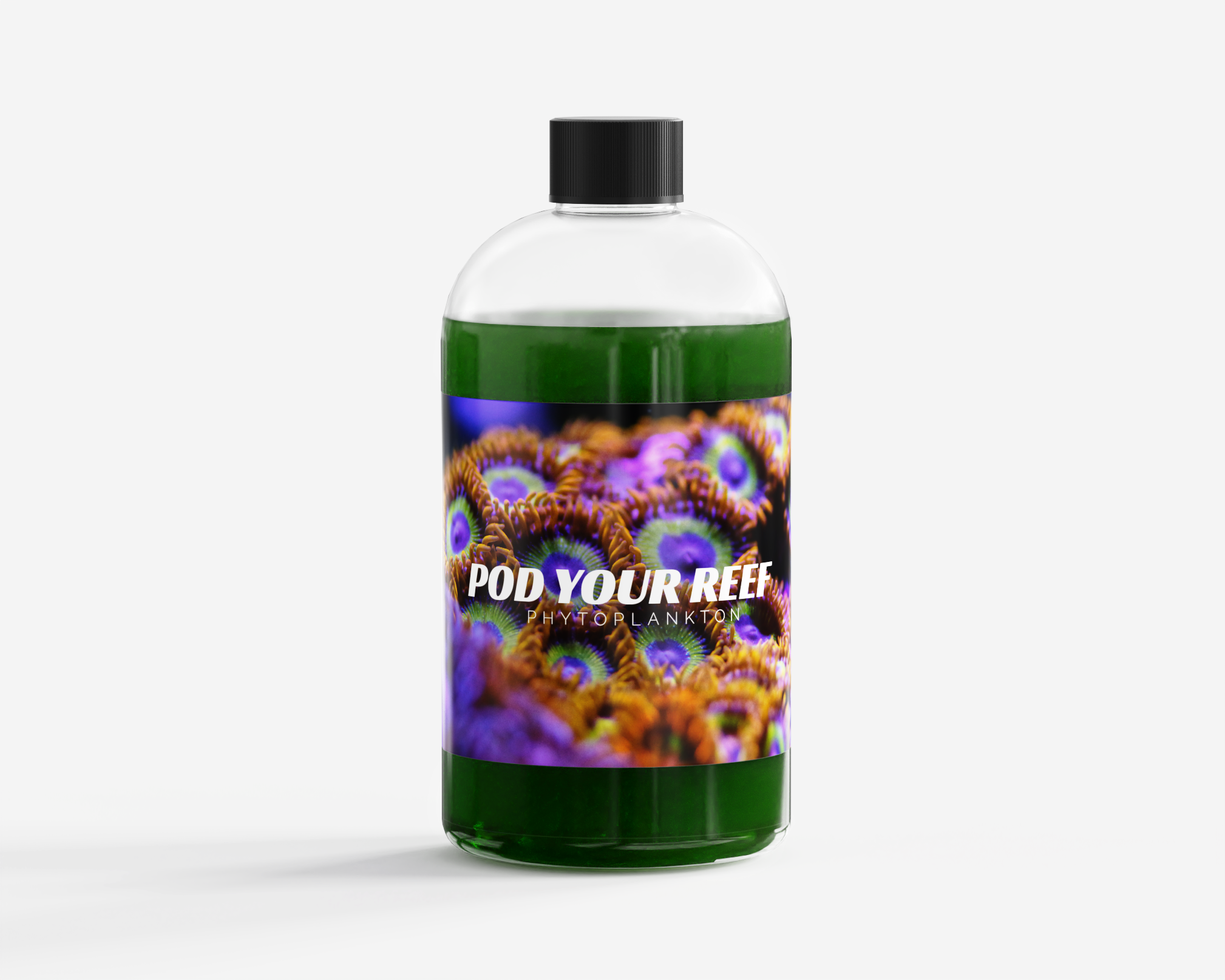 Nannochloropsis Phytoplankton Culture