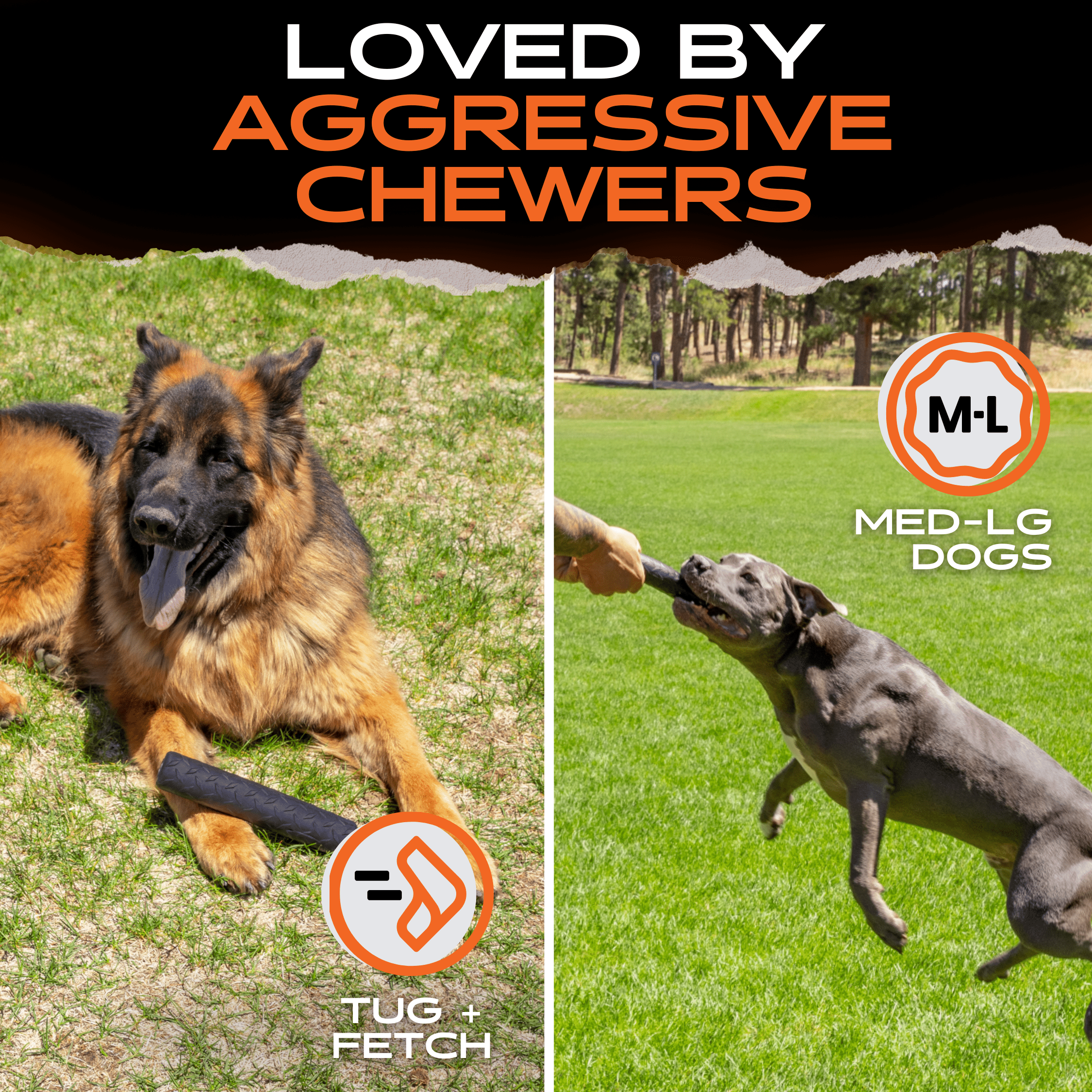 Chew Stick